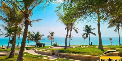 Complete Guide to Qeshm Olive Park: From Outstanding Facilities to Exciting Recreational Activities