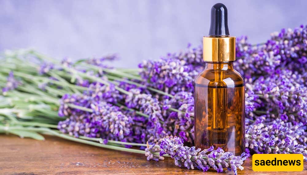 lavender oil