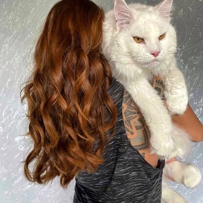 Meet the World's Biggest Cat!