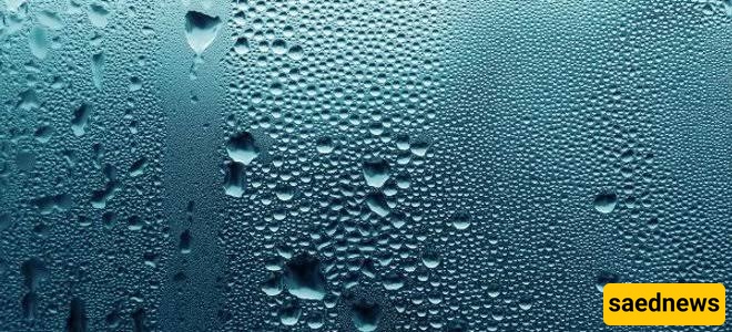  Moisture
