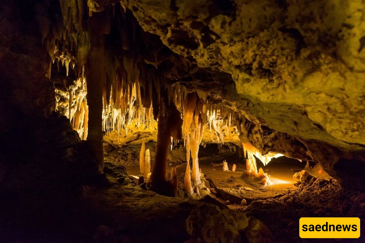Amazing Discovery of a Cave Full of Antiques and Valuable Treasures in Iran – Seeing Them Will Blow Your Mind! +Photos