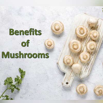 The Surprising Benefits of Mushrooms  You Never Knew Existed!