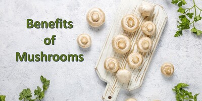 The Surprising Benefits of Mushrooms  You Never Knew Existed!