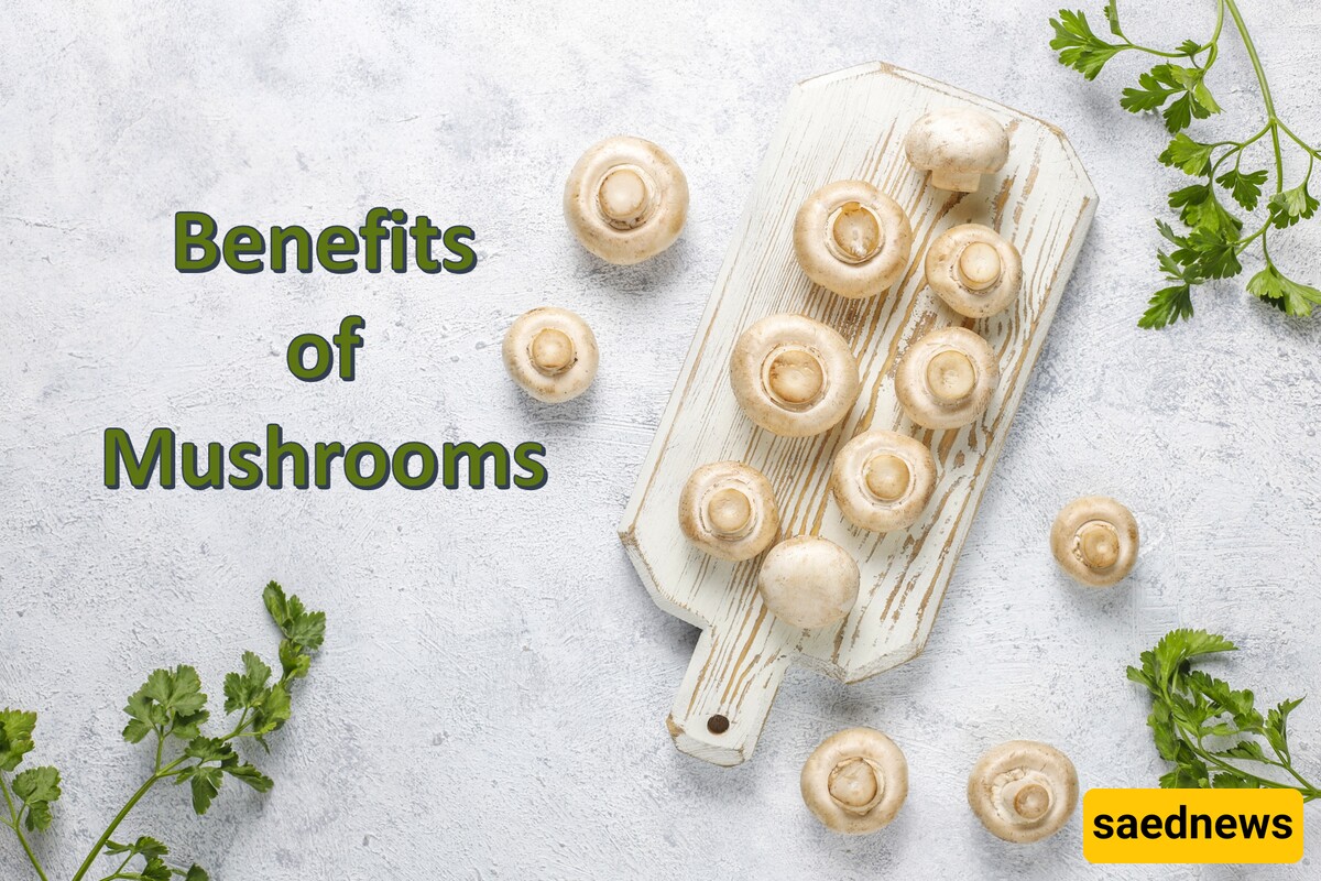 The Surprising Benefits of Mushrooms  You Never Knew Existed!