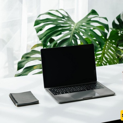 Best Plants for Your Desk | 12 Low-Maintenance Options + A Complete Selection & Care Guide