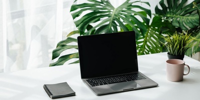 Best Plants for Your Desk | 12 Low-Maintenance Options + A Complete Selection & Care Guide