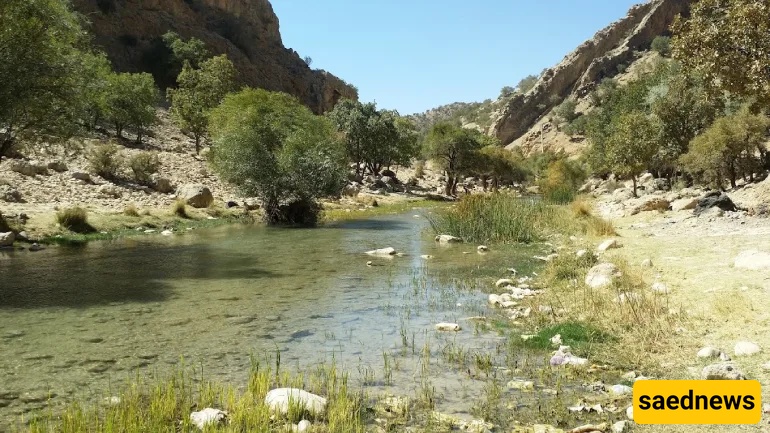 Shiraz Nature