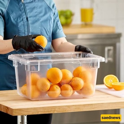 Why Transparent Food Storage Containers Can Improve Food Management