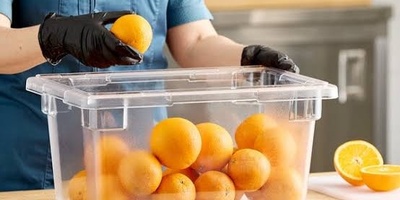 Why Transparent Food Storage Containers Can Improve Food Management