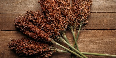 Brown Sumac Is More Than a Spice: The Surprising Benefits You Should Know