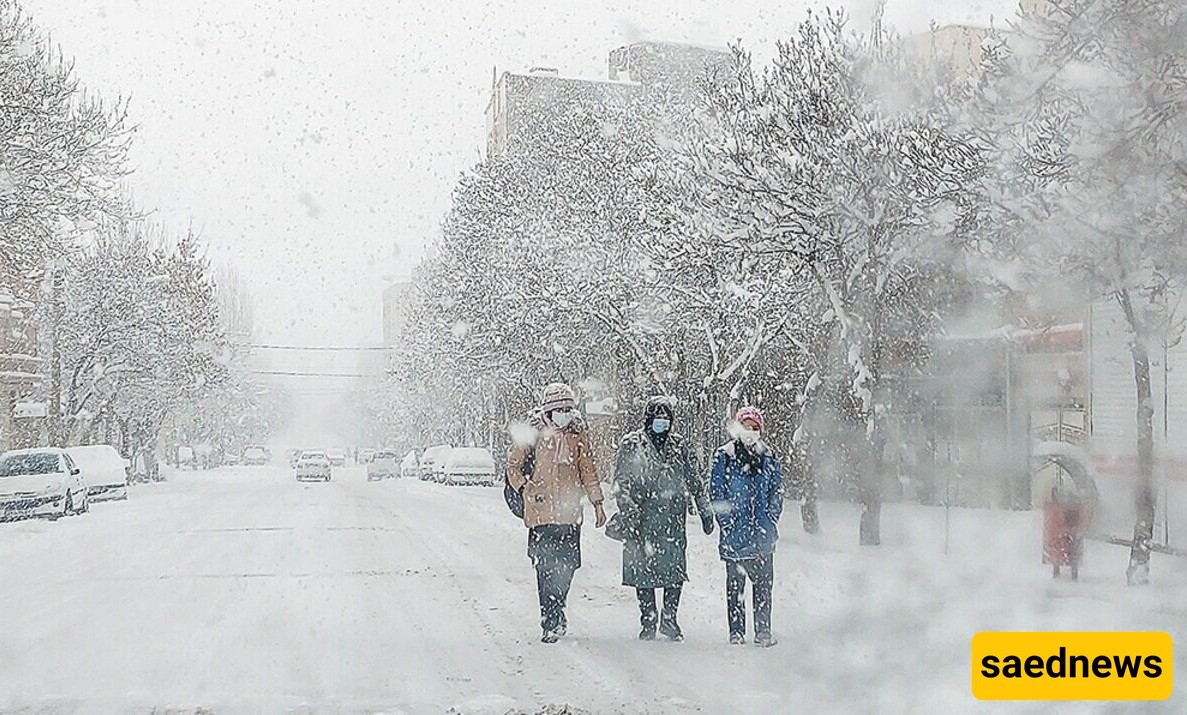 The Most Stunning Spots in Tehran on Snowy Days: These 6 Places Offer a Dreamy Winter!