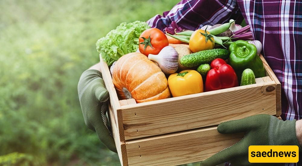 healthy food