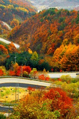 Best and Most Beautiful Restaurants on the Chalus Road + Video