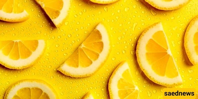 What Is Lemon Pulp Good For and Why Many People Look for It?