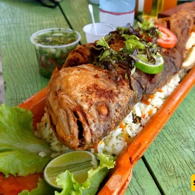 Choosing the Most Delicious Southern Fish for Cooking and Enjoyment