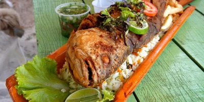 Choosing the Most Delicious Southern Fish for Cooking and Enjoyment