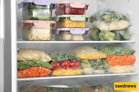 Proper Containers for Storing Food in the Freezer