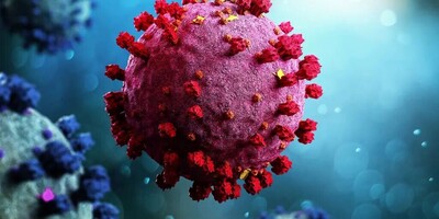 Using the COVID-19 Virus to Fight Cancer!