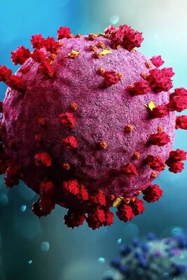 Using the COVID-19 Virus to Fight Cancer!