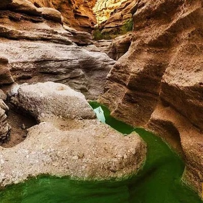Walk Through Warm Waters and Cold Streams / The Magic of Morteza Ali Spring