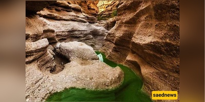Walk Through Warm Waters and Cold Streams / The Magic of Morteza Ali Spring
