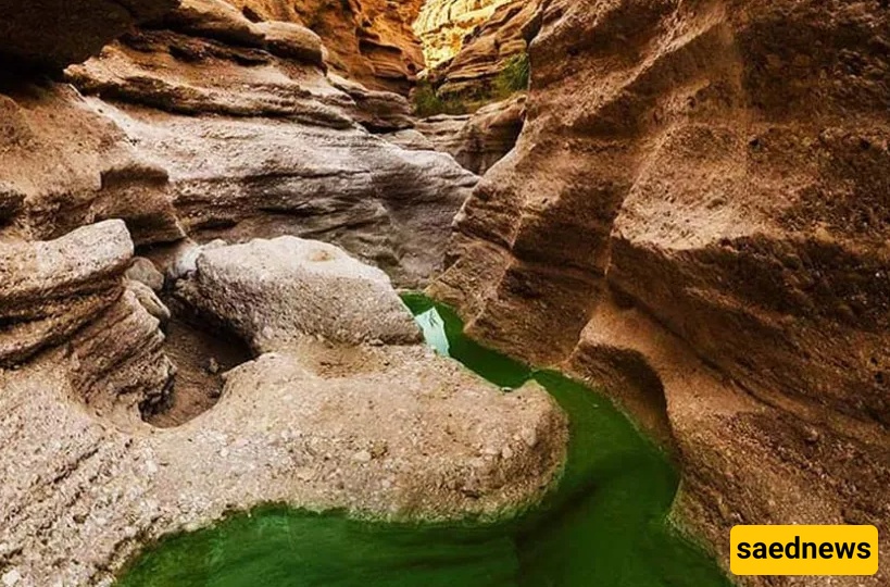Walk Through Warm Waters and Cold Streams / The Magic of Morteza Ali Spring