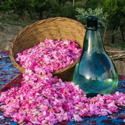 Introduction to the Ceremony and Timing of Rosewater Distillation in Kashan