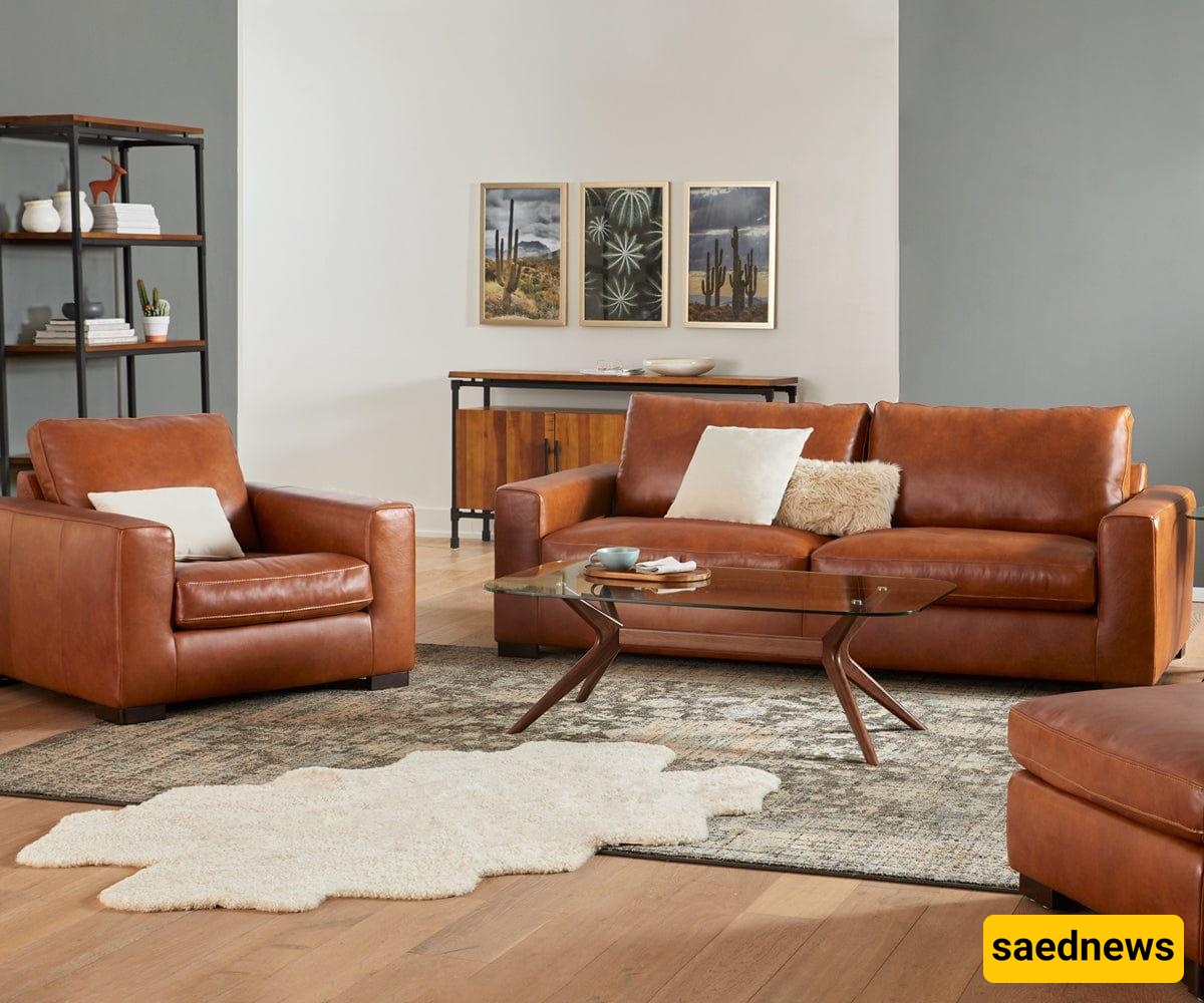 Leather furniture