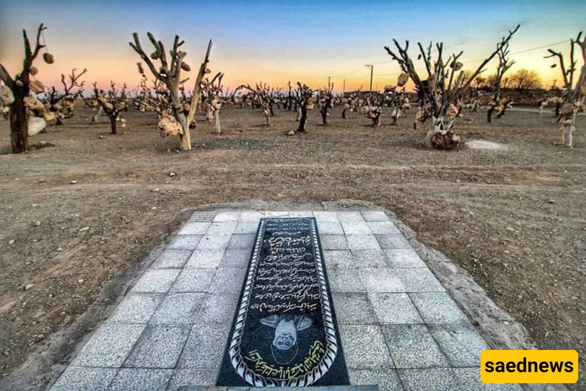  Darvish Khan’s Stone Garden, Sirjan