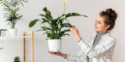 Check These Things Before Fertilizing A Plant That Is Not Growing