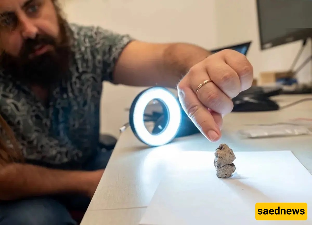 A Tiny Masterpiece Created 12,000 Years Ago + Photos