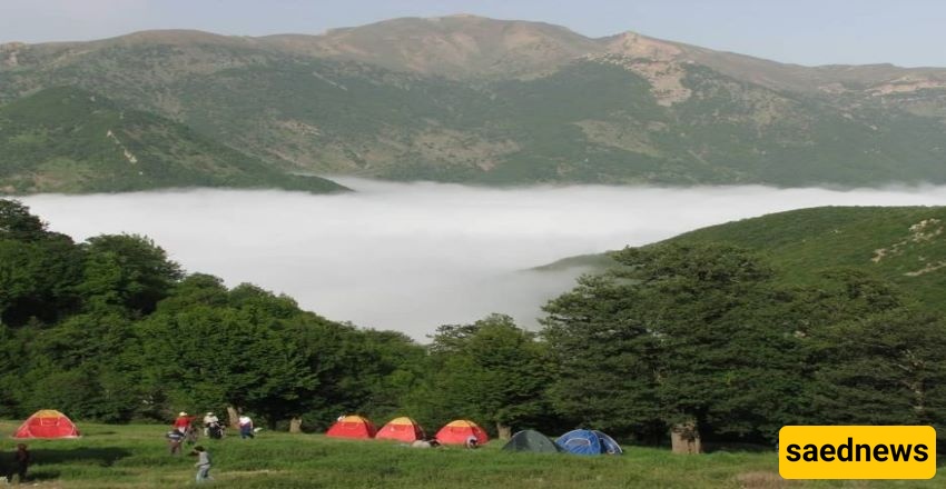  Abr Forest