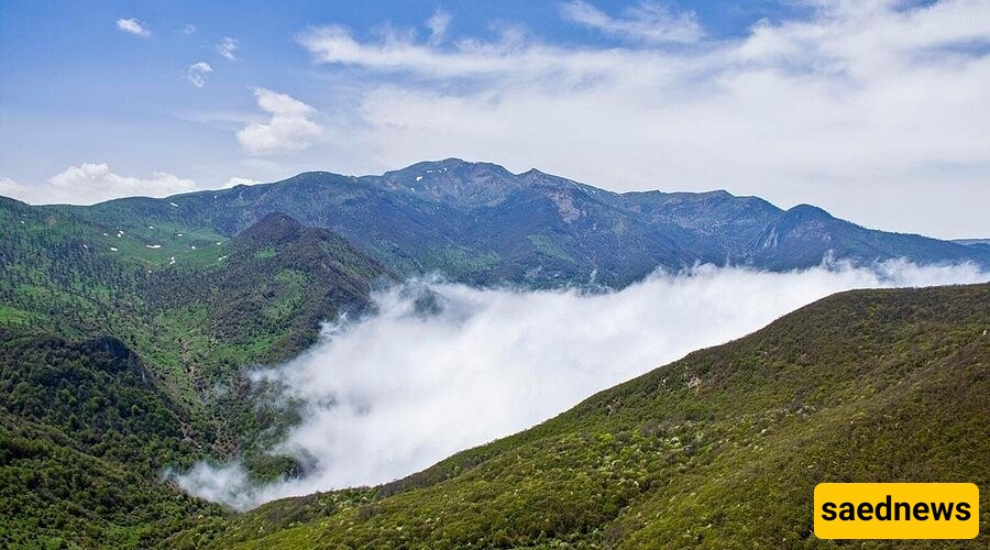 Jangal-e Abr: Iran’s Mystical Cloud Forest and Its Fight for Survival