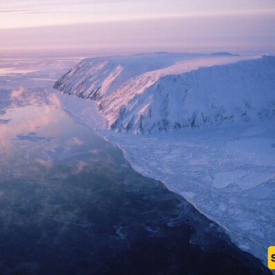 How Tundras Thrive in Extreme Cold