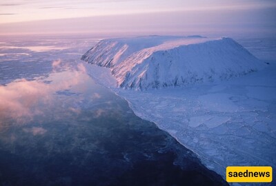 How Tundras Thrive in Extreme Cold