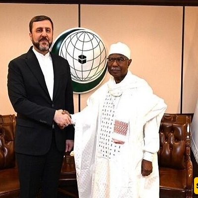 Gharibabadi Meets OIC Secretary-General in Riyadh to Discuss Gaza