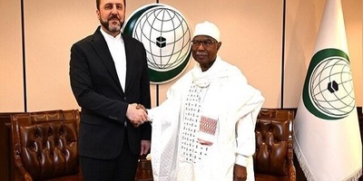 Gharibabadi Meets OIC Secretary-General in Riyadh to Discuss Gaza