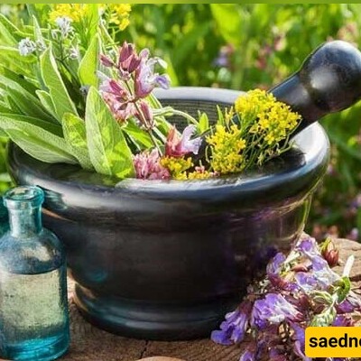 Iran’s Fars Province Exports $1.5 Billion Of Medicinal Plants