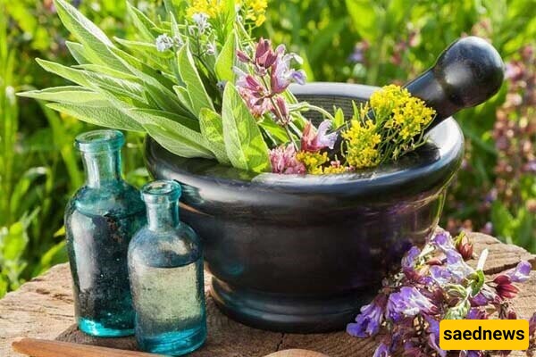 Iran’s Fars Province Exports $1.5 Billion Of Medicinal Plants