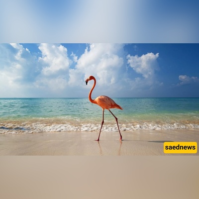 12 Stunning Natural Wonders in West Azerbaijan That Will Make You Drop Everything and Travel