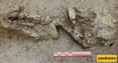 Extraordinary Discovery of a 5,000-Year-Old Child from an Ancient Well — His Teeth Are Still Intact + Photos