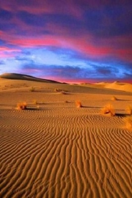 This Autumn, Journey into the Heart of Iran’s Desert Brides + Photos
