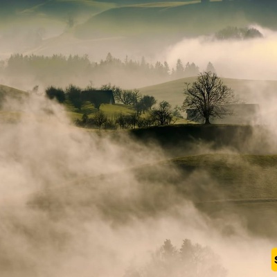 What Is Fog And How Does Nature Create This Mysterious Ground Cloud