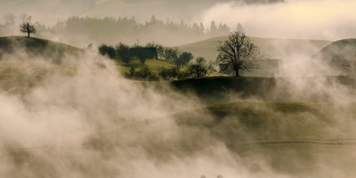 What Is Fog And How Does Nature Create This Mysterious Ground Cloud