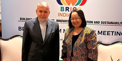 Salehi Amiri: South Africa Could Serve as Iran’s Gateway to Africa’s Tourism Market
