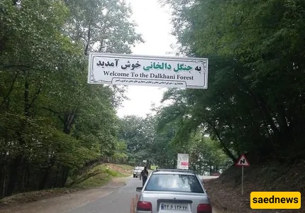 dalekhani forest
