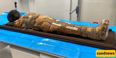 Discovery of an Unknown Object on the Chest of a 2,000-Year-Old Egyptian Child Mummy