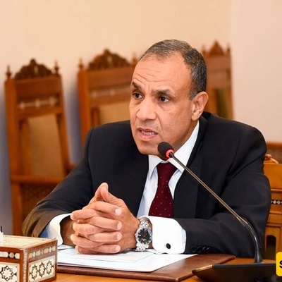 Egyptian FM Stresses Preserving Ceasefire For Sake of Region