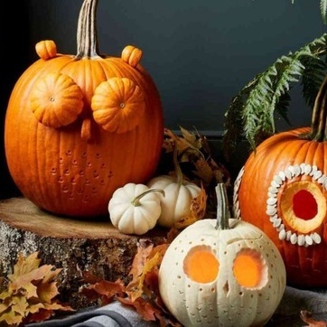 Pumpkin: A Natural Cough Remedy That Makes Fall Easier for Moms!