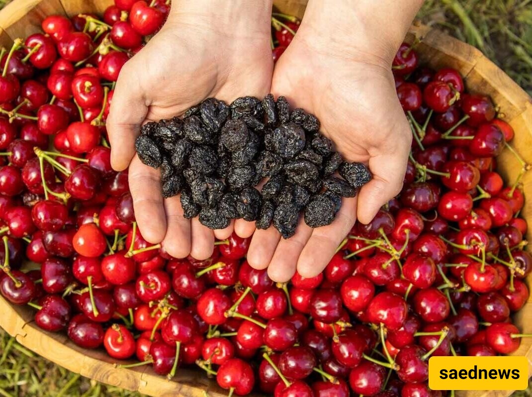 Sweet dried sour cherries 